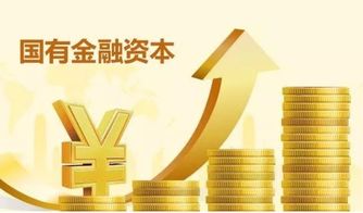 資本與資產的區別及其在投資管理中的意義